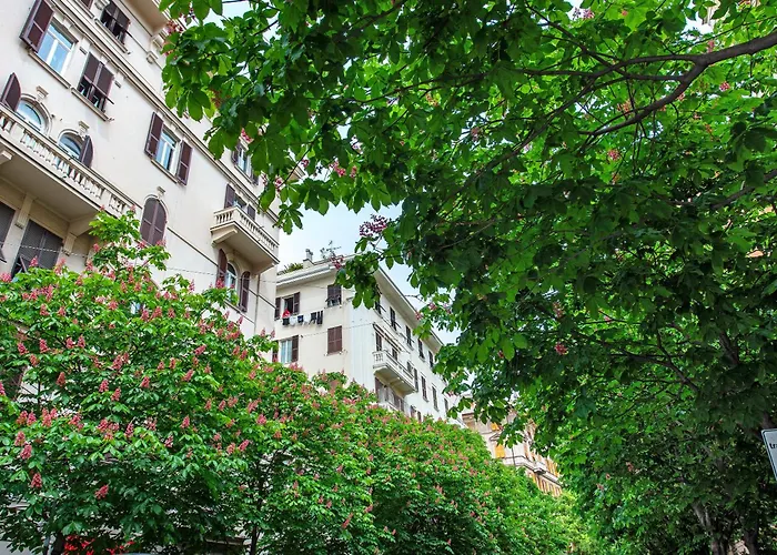 Ohana ジェノヴァ